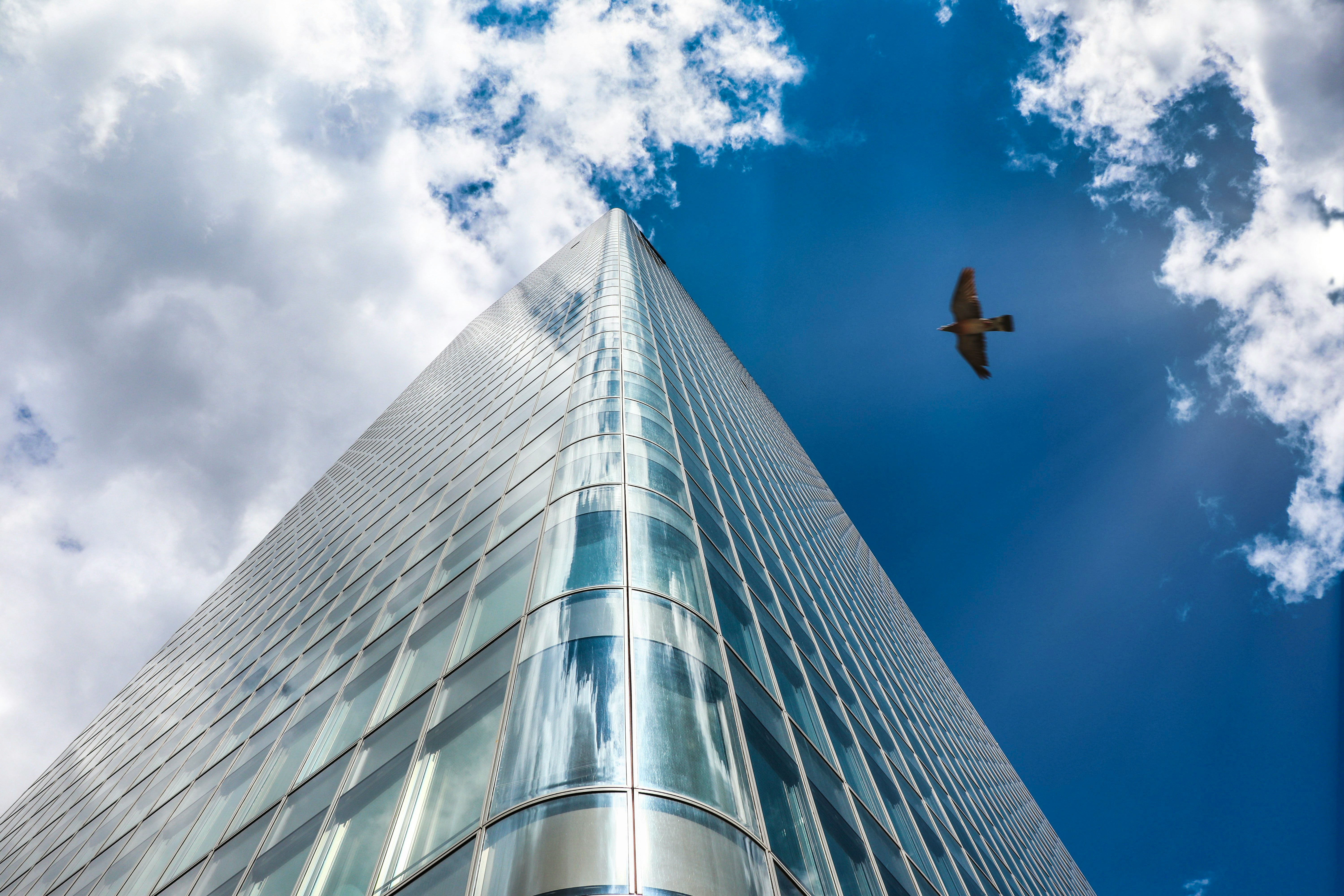 low angle photography of high rise building under blue sky during daytime